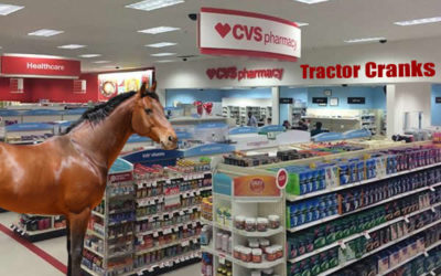 Horsing Around