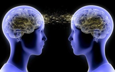 Tentative Ruminations