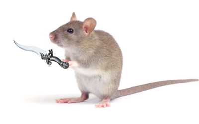 Rats in the Hen House
