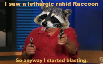 The Terror of the Trash Panda