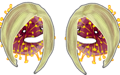 Collateral Carens