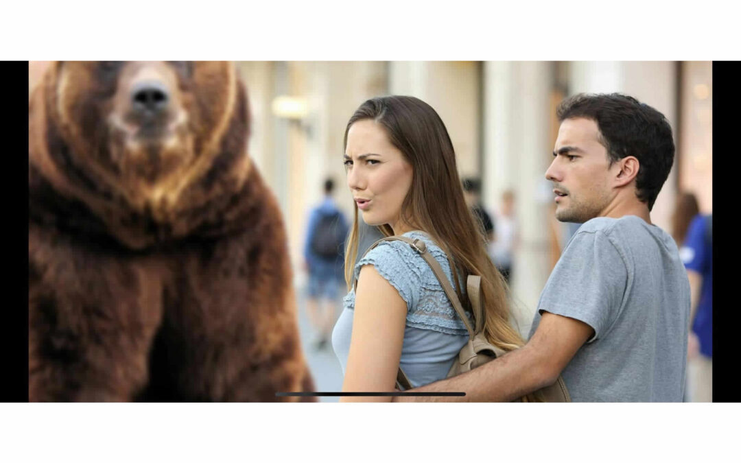 Man vs Bear